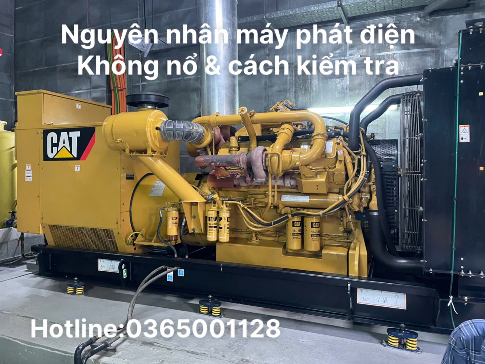 dịch vụ sửa chữa máy phát điện tại Bình Dương và TP HCM
